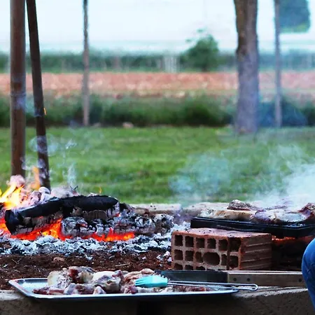 Del Falco Agricamp-12 Kilometers To Garda And Verona *